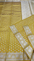 Dupion silk saree